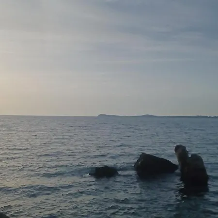 Siar Vlorë