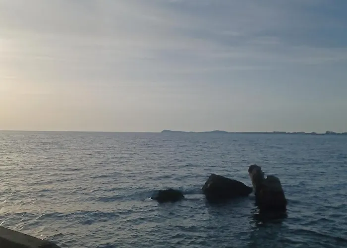 Siar Vlorë
